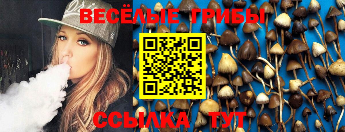 Новодвинск  Псилоцибиновые грибы Magic Shrooms  где продают   Псилоцибиновые грибы мицелий  Вход с VPN 